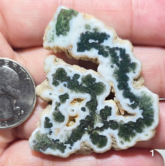 #1 Moss Agate Stalactite Slice