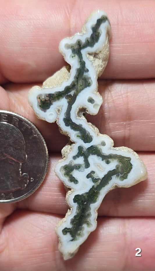 #2 Moss Agate Stalactite Slice