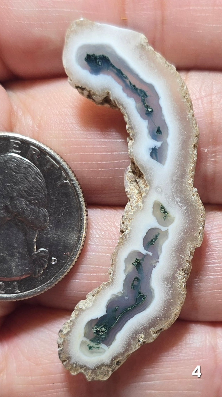 #4 Moss Agate Stalactite Slice