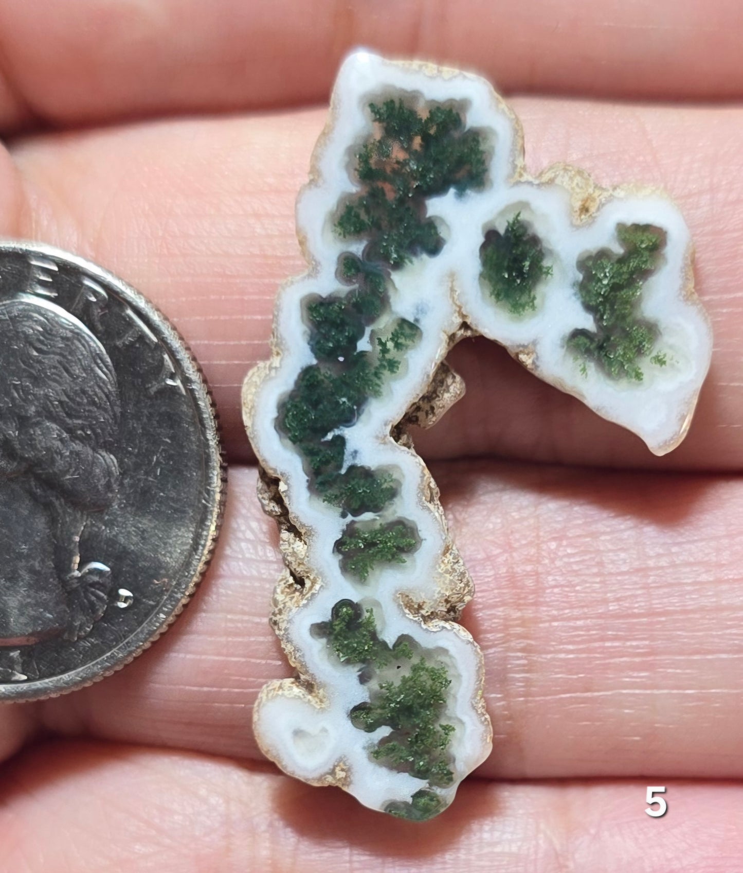 #5 Moss Agate Stalactite Slice