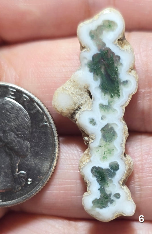 #6 Moss Agate Stalactite Slice