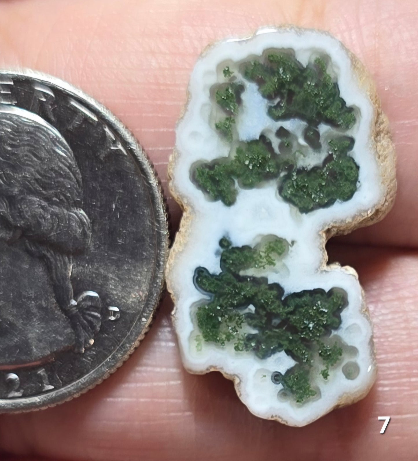 #7 Moss Agate Stalactite Slice