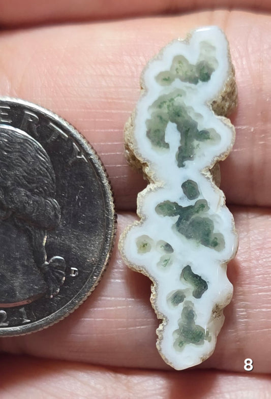 #8 Moss Agate Stalactite Slice