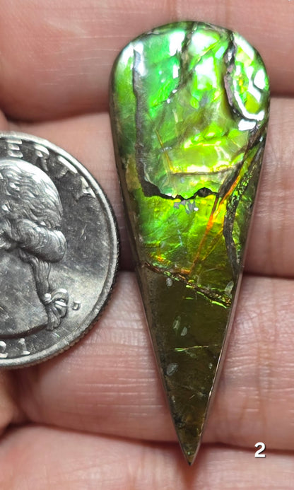 #2 Ammolite 6.1g