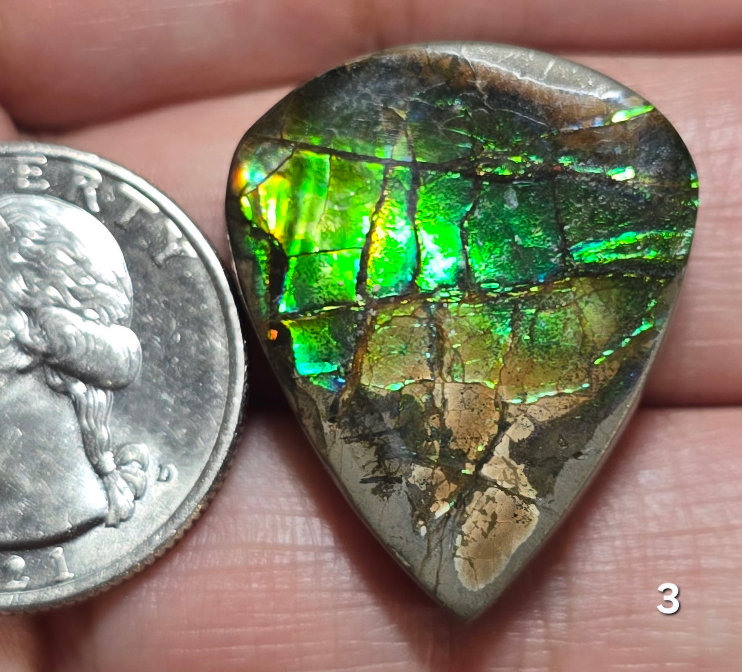 #3 Ammolite 6.96g