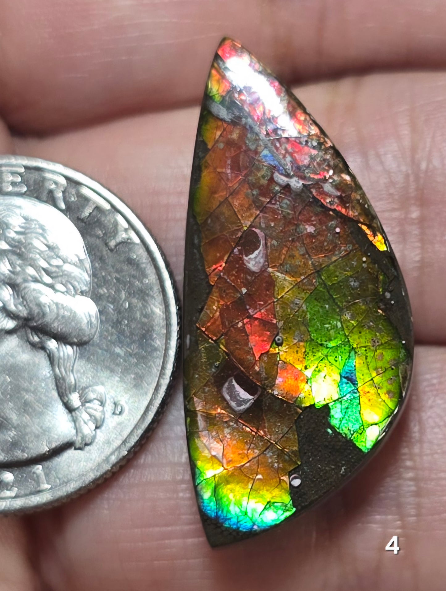 #4 Ammolite 6.3g