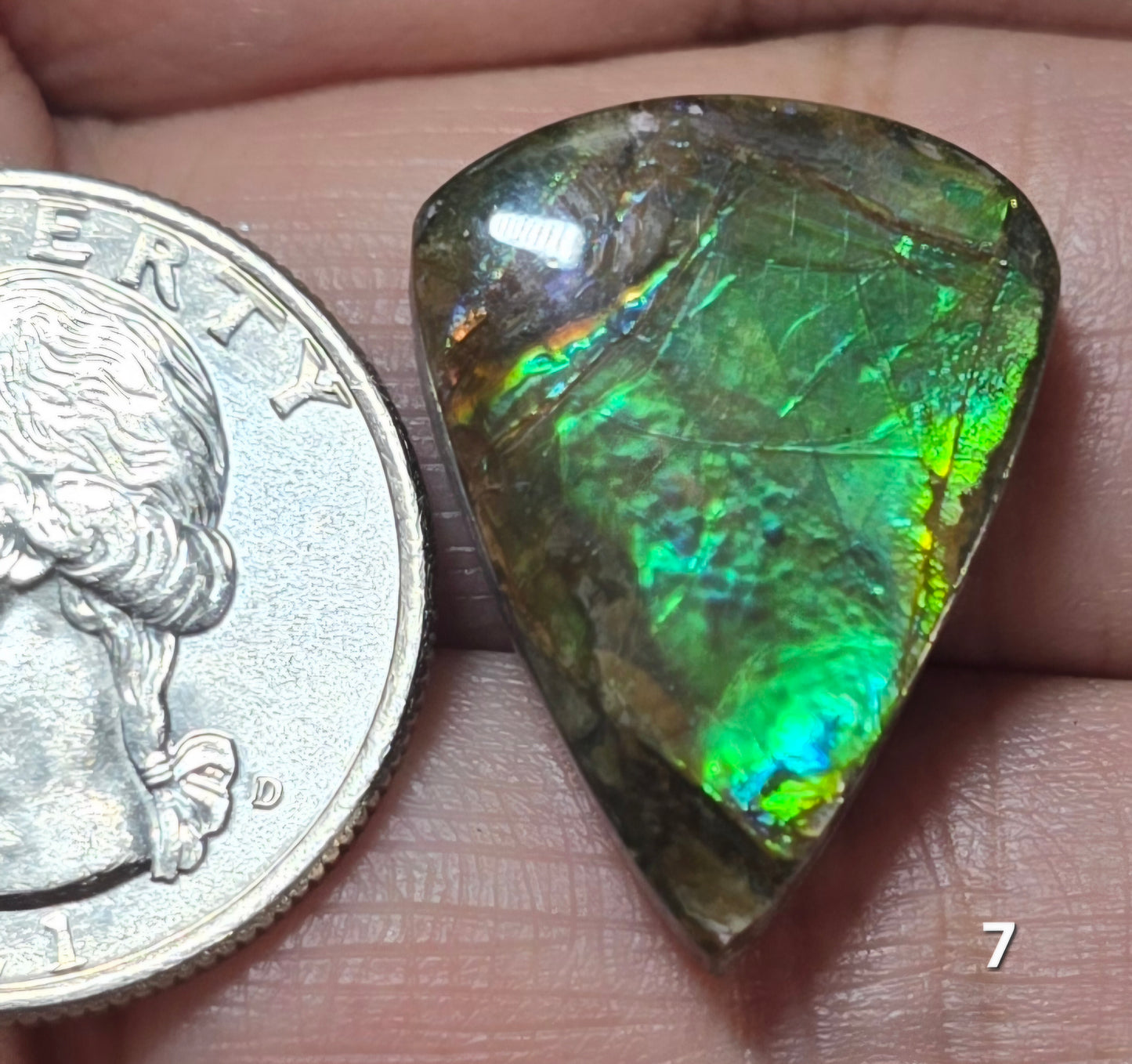 #7 Ammolite 4.2g