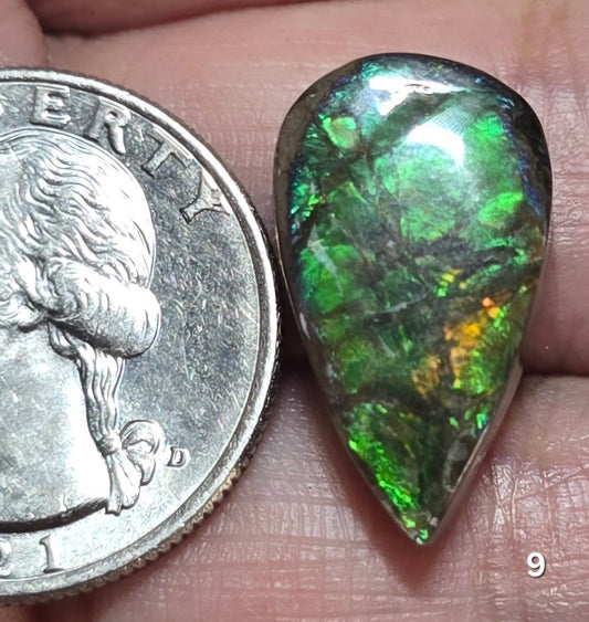 #9 Ammolite 2.6g