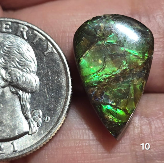 #10 Ammolite 3.1g