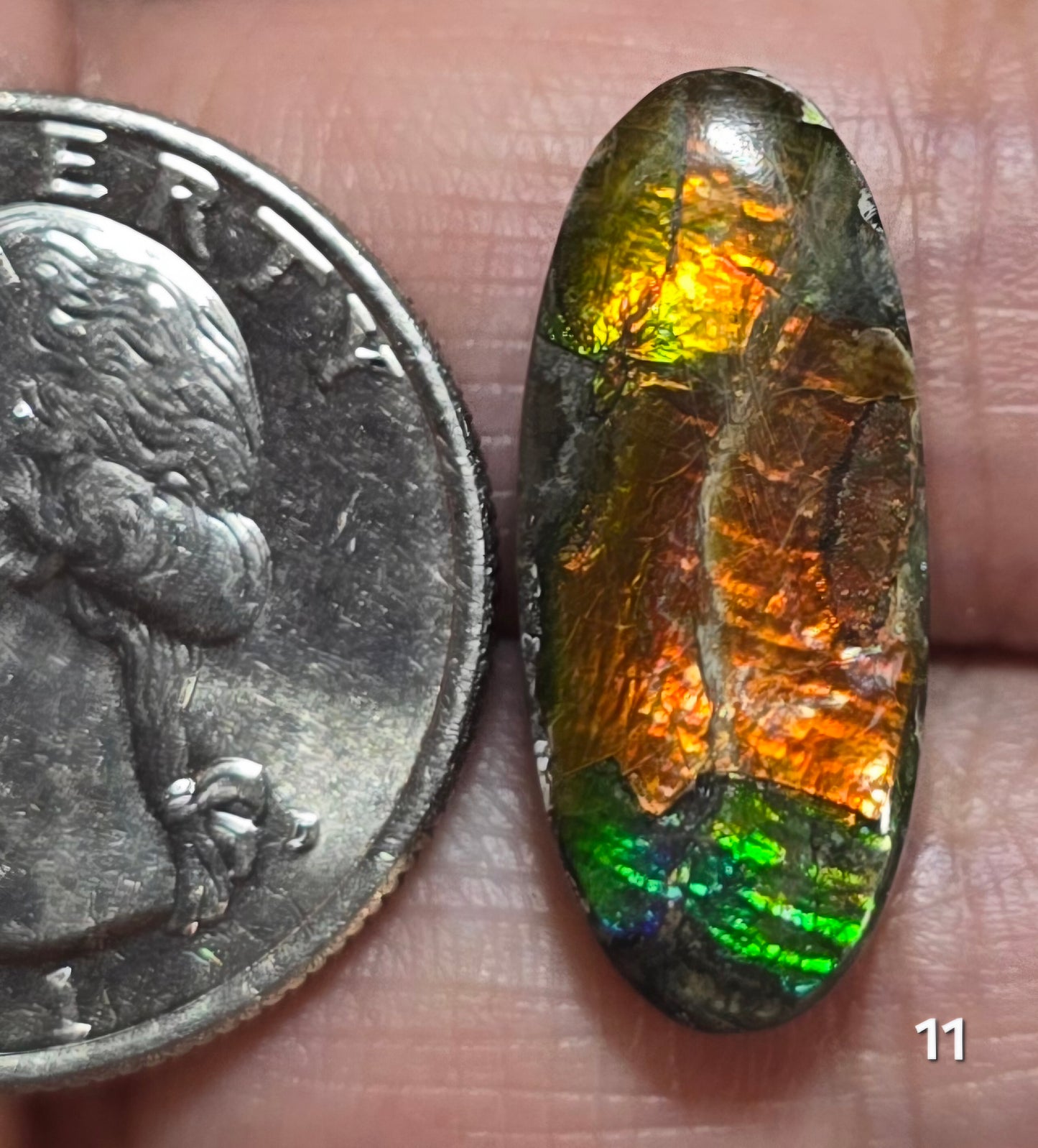 #11 Ammolite 1.9g