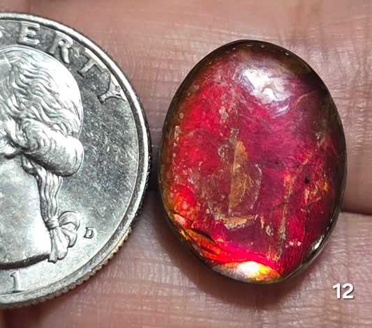 #12 Ammolite 2.7g