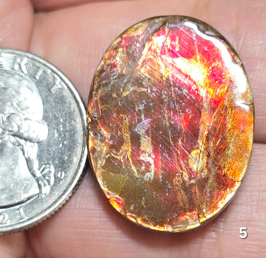 #5 Ammolite 6.2g