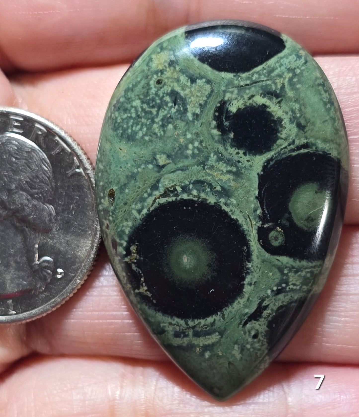 #7 Kambaba Jasper