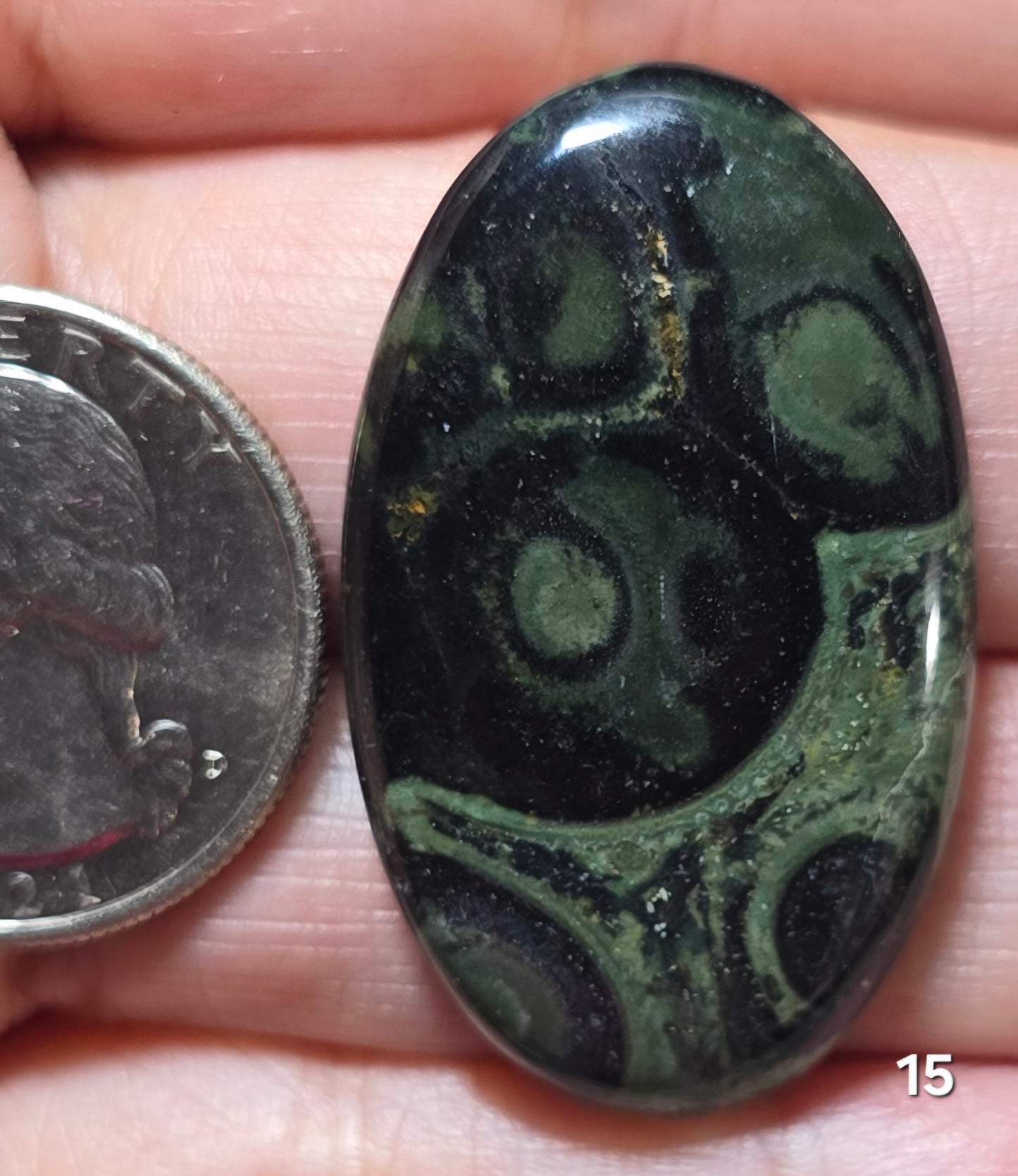 #15 Kambaba Jasper