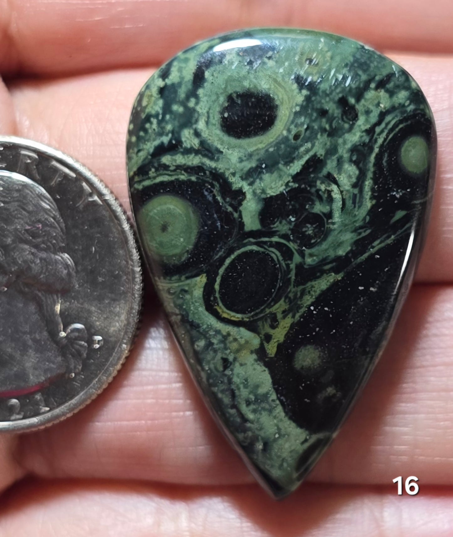 #16 Kambaba Jasper