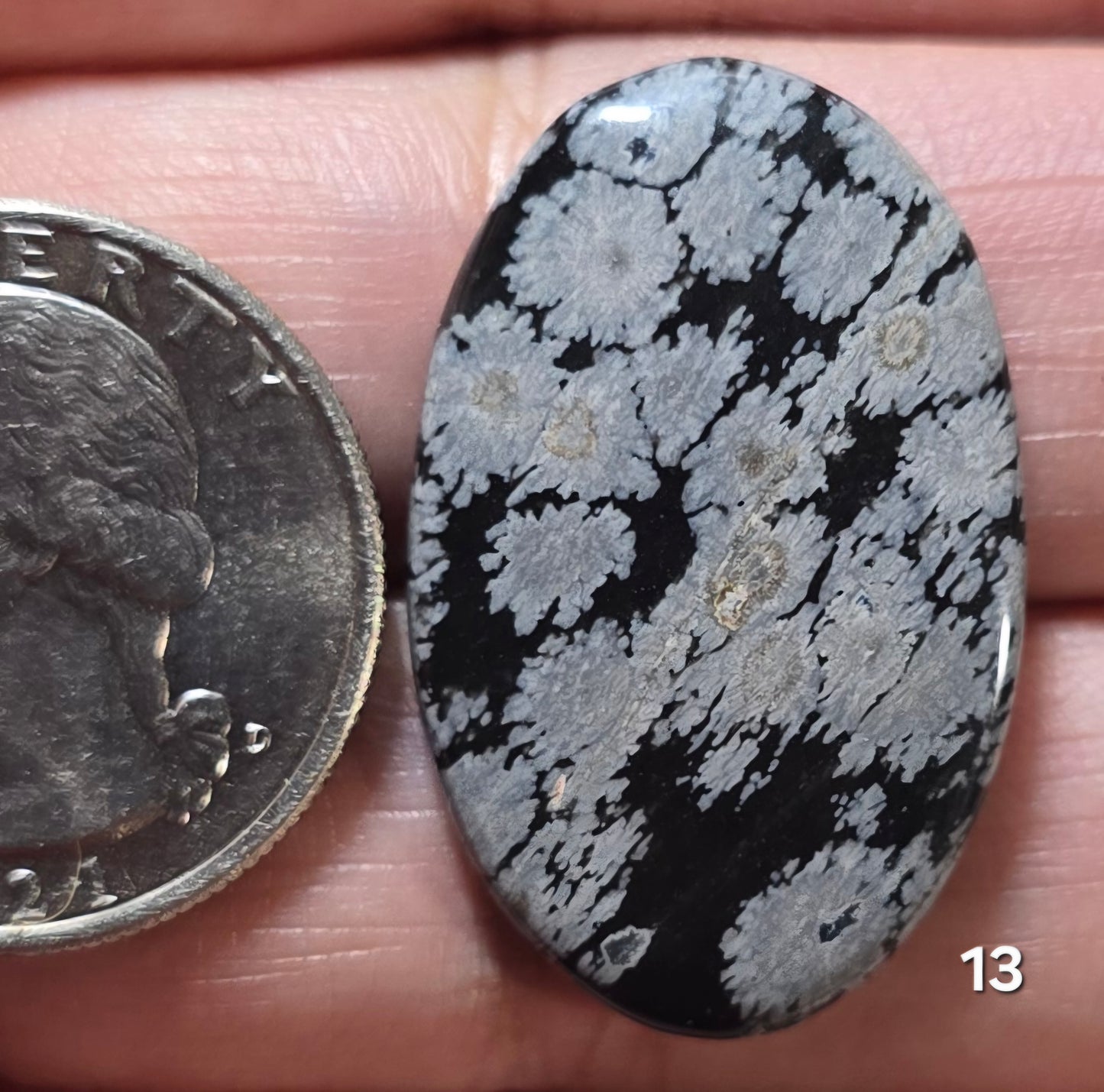 #13 Snowflake Obsidian