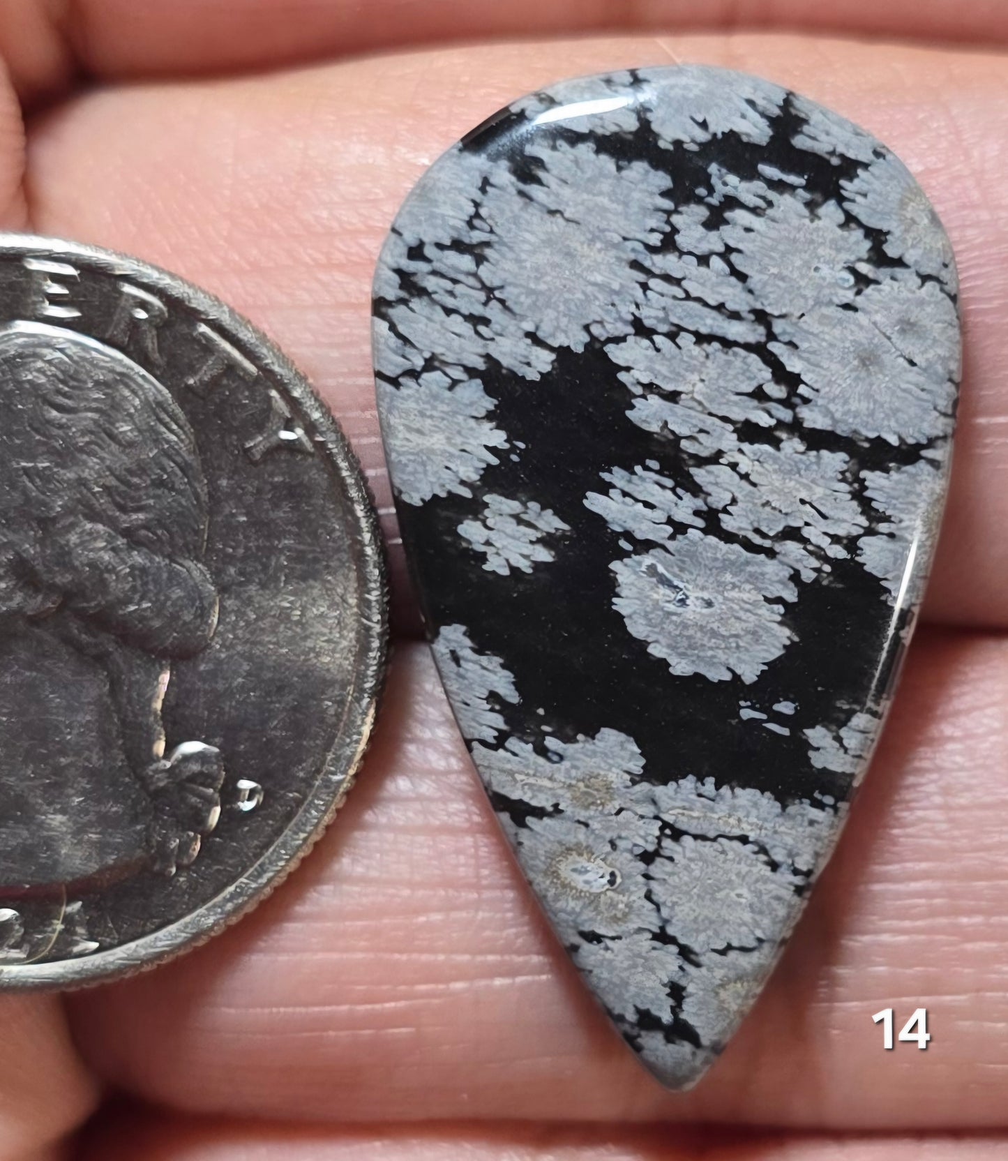 #14 Snowflake Obsidian