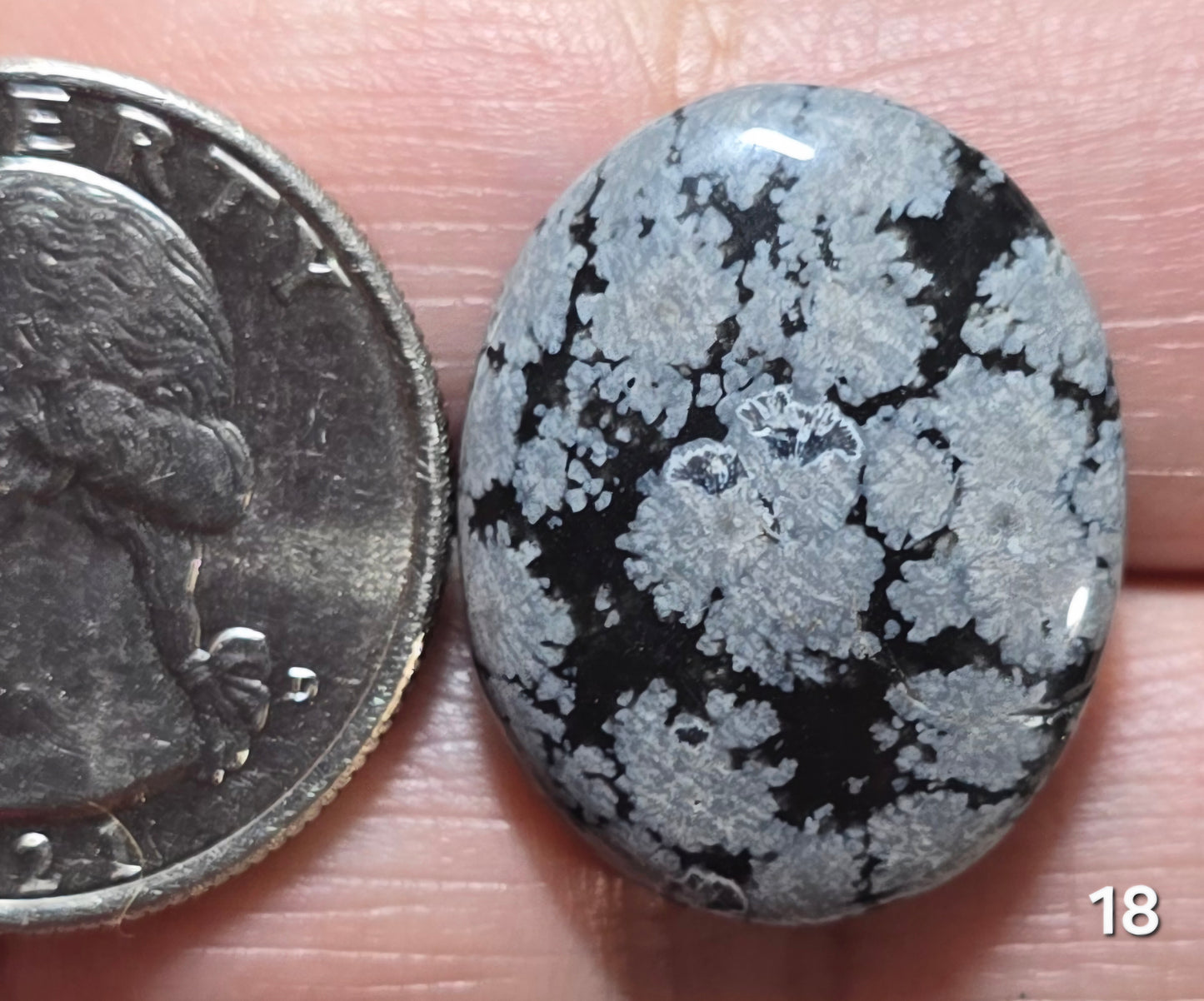 #18 Snowflake Obsidian