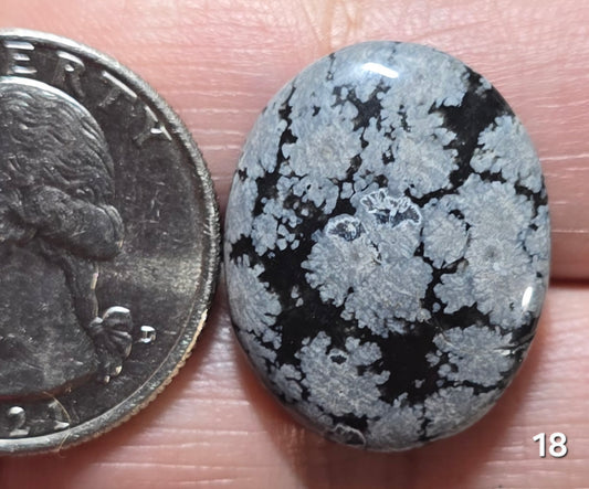 #18 Snowflake Obsidian