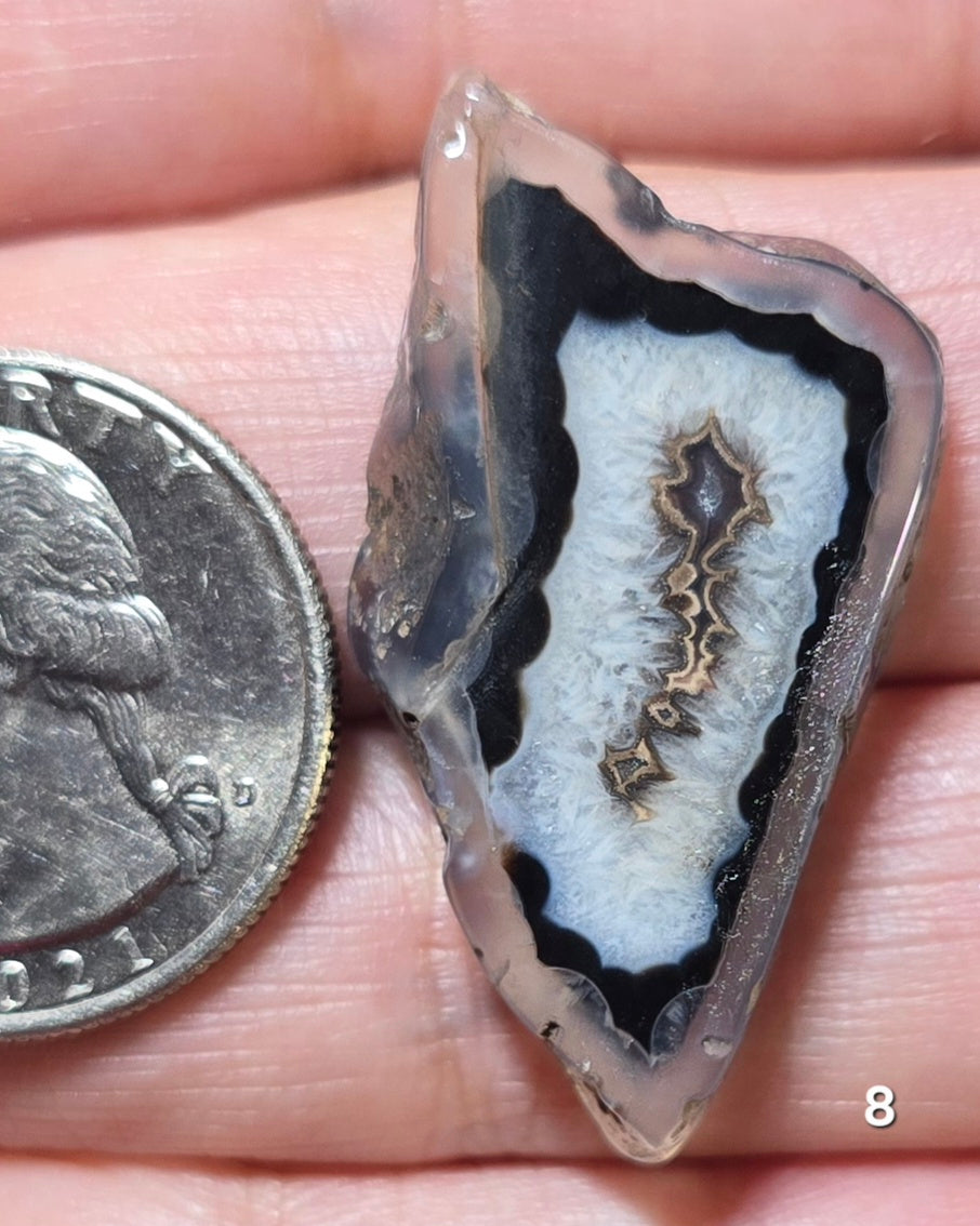 #8 Agate Slice