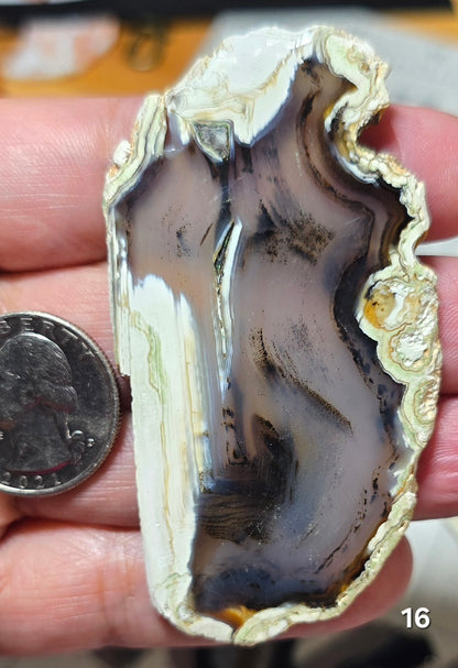 #16 Agate Slice