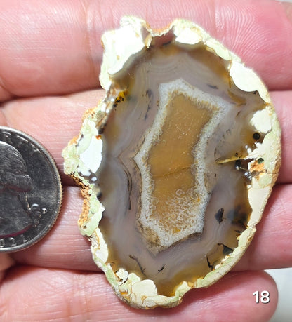 #18 Agate Slice