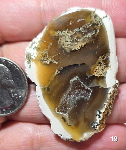 #19 Druzy Agate Slice