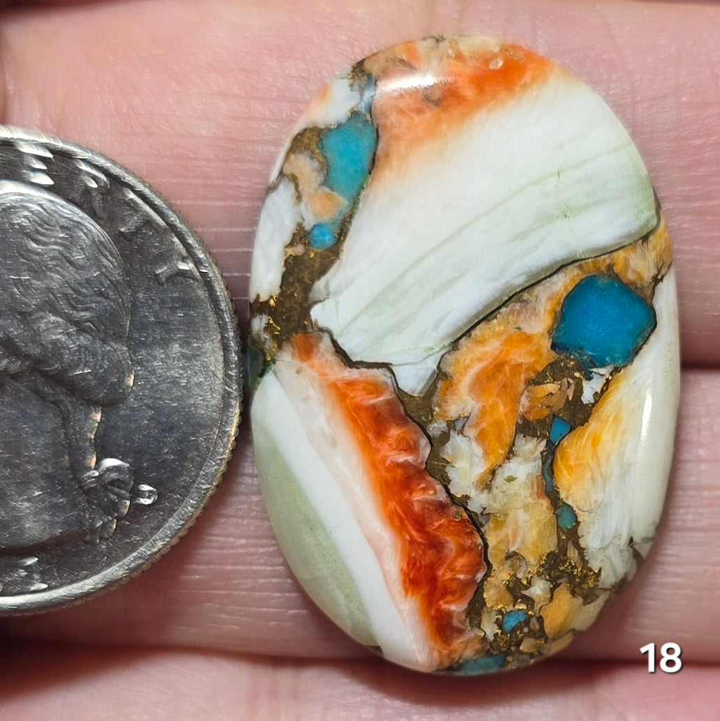 #18 Spiny Oyster Turquoise
