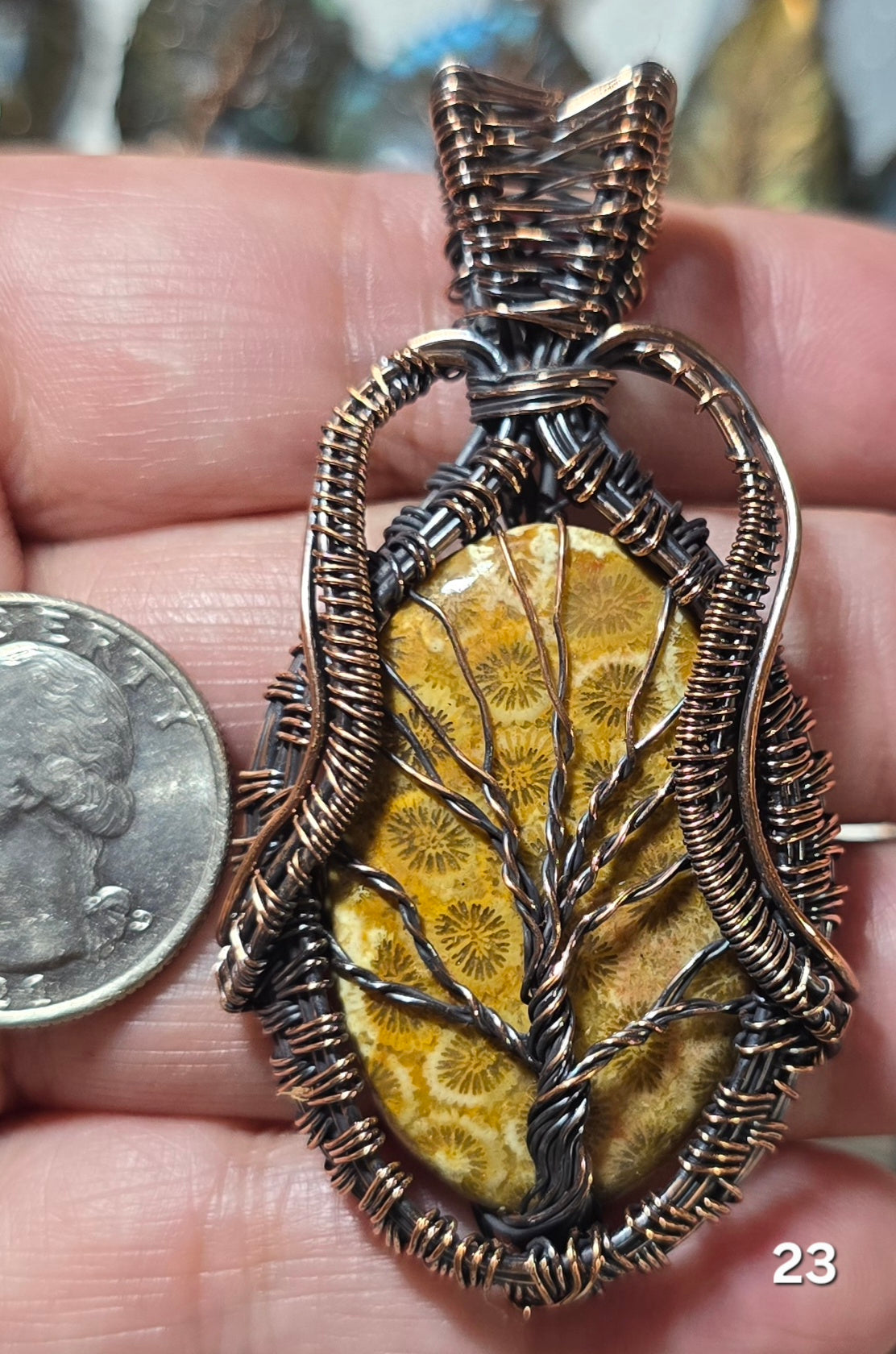 #23 Fossil Coral Wire-wrapped Pendant