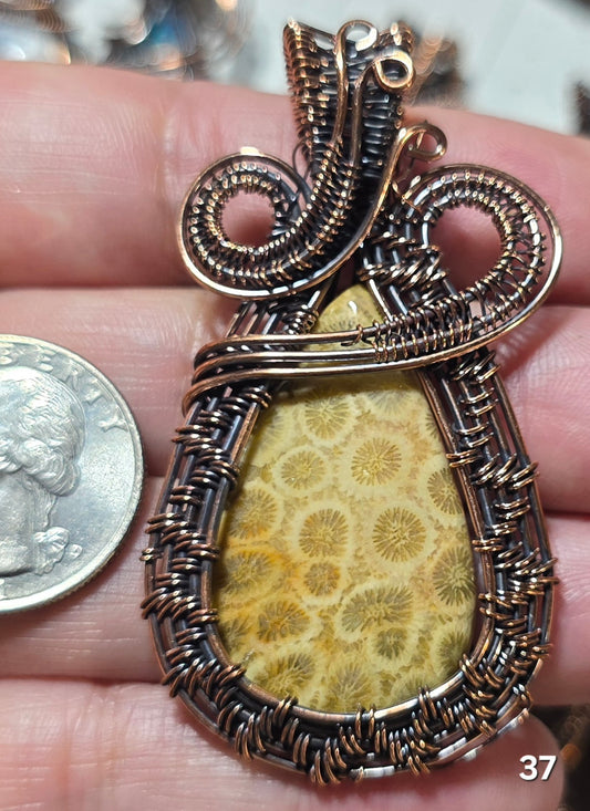#37 Fossil Coral Wire-wrapped Pendant