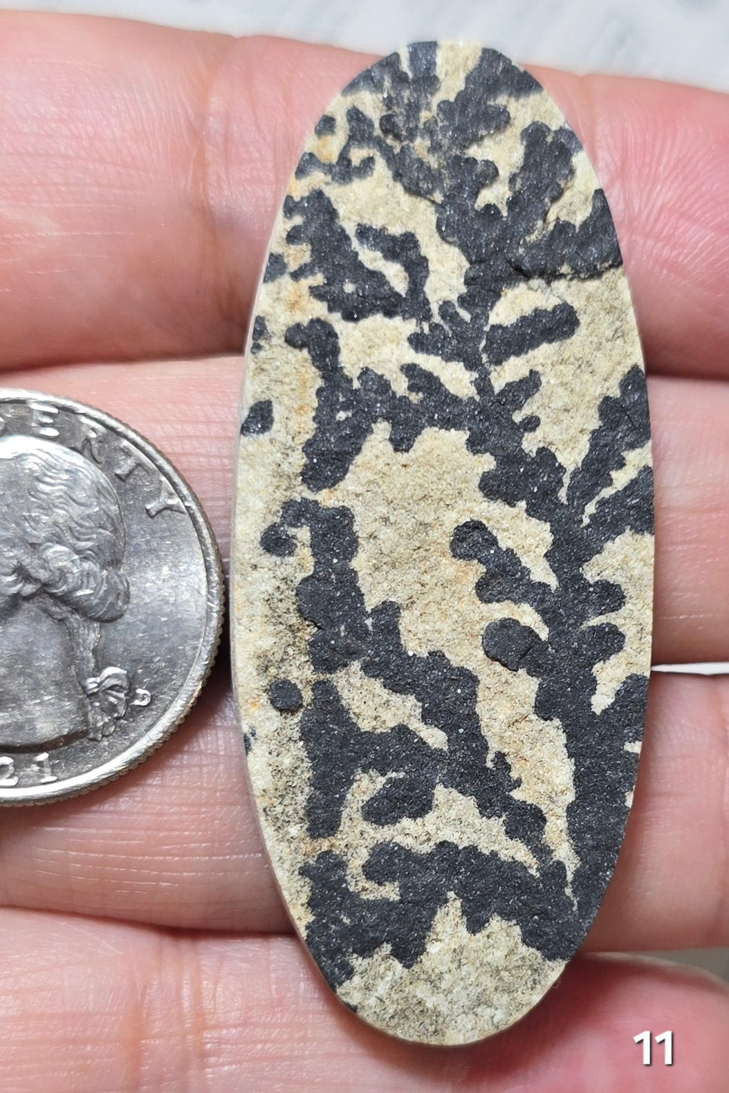 #11 Psilomelane Dendrite