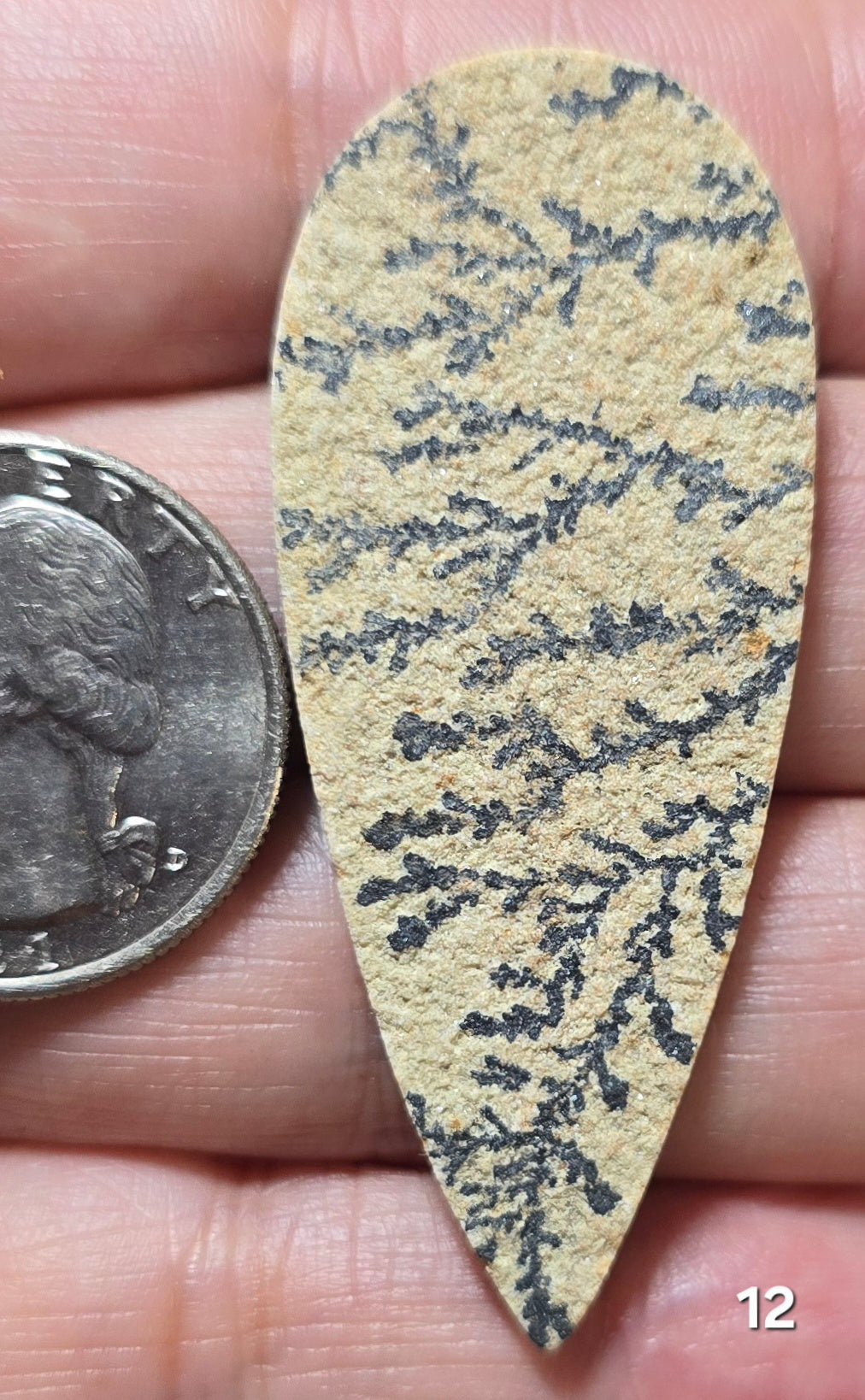 #12 Psilomelane Dendrite