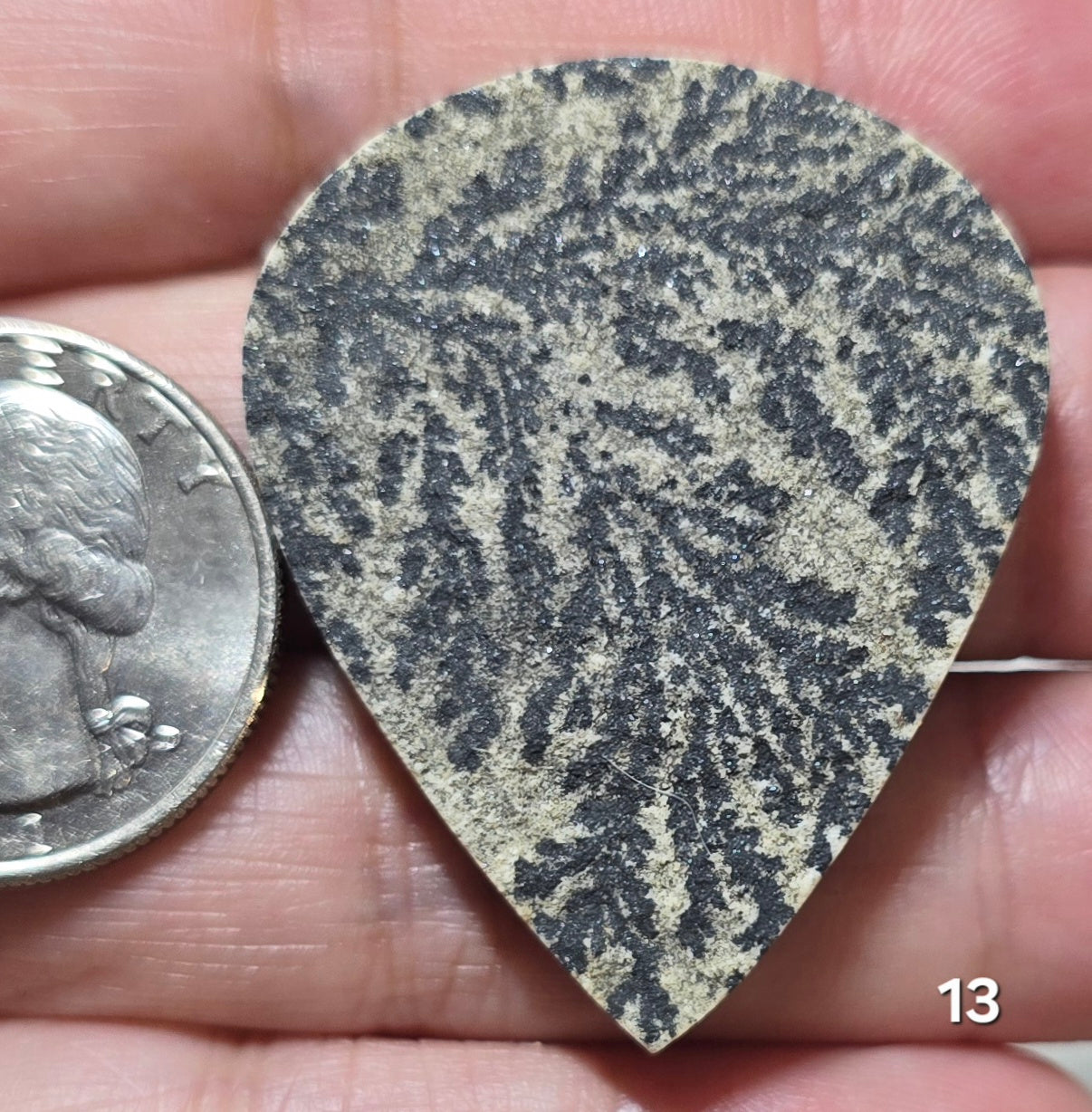 #13 Psilomelane Dendrite
