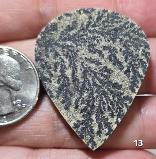 #13 Psilomelane Dendrite