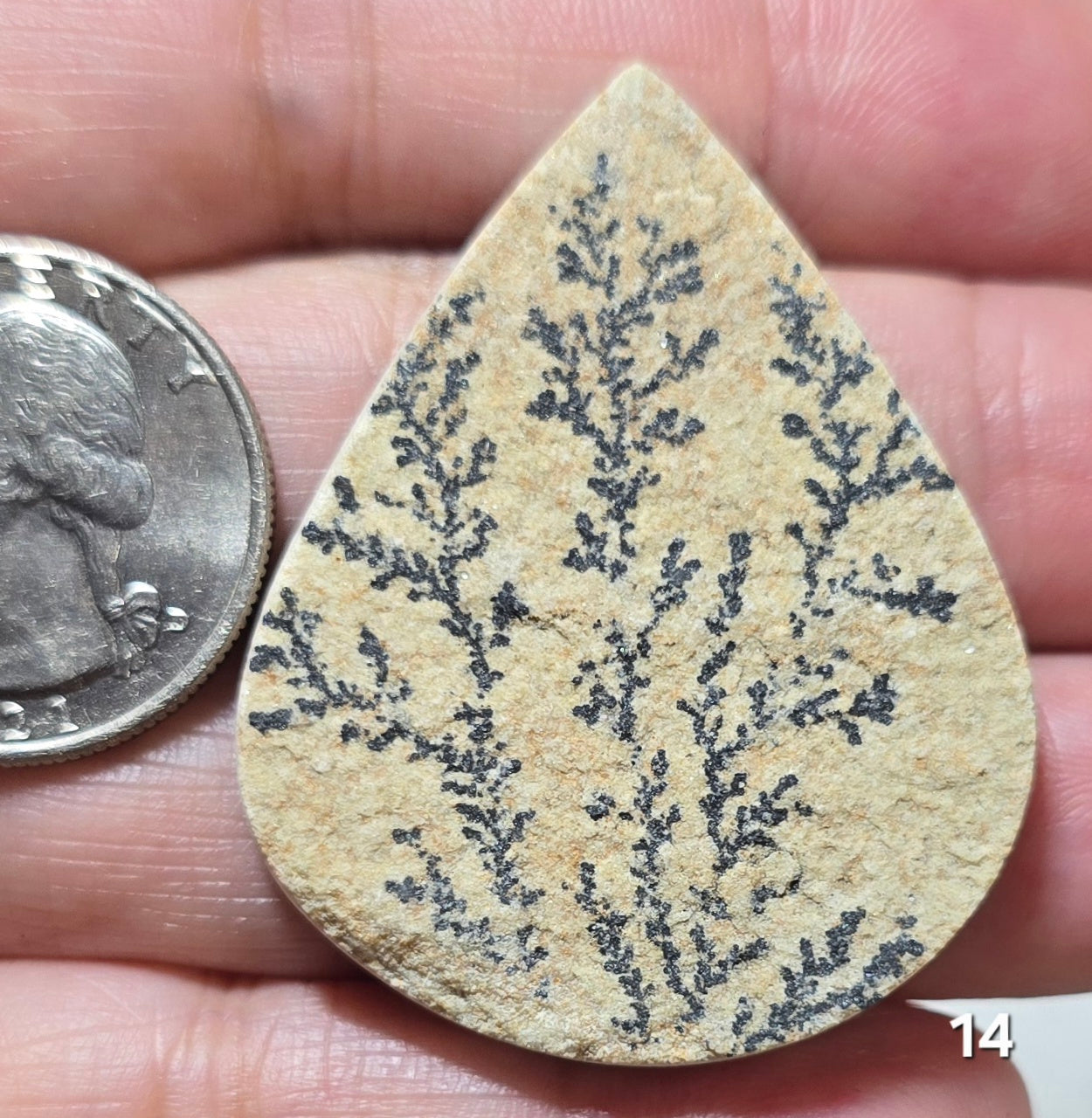 #14 Psilomelane Dendrite