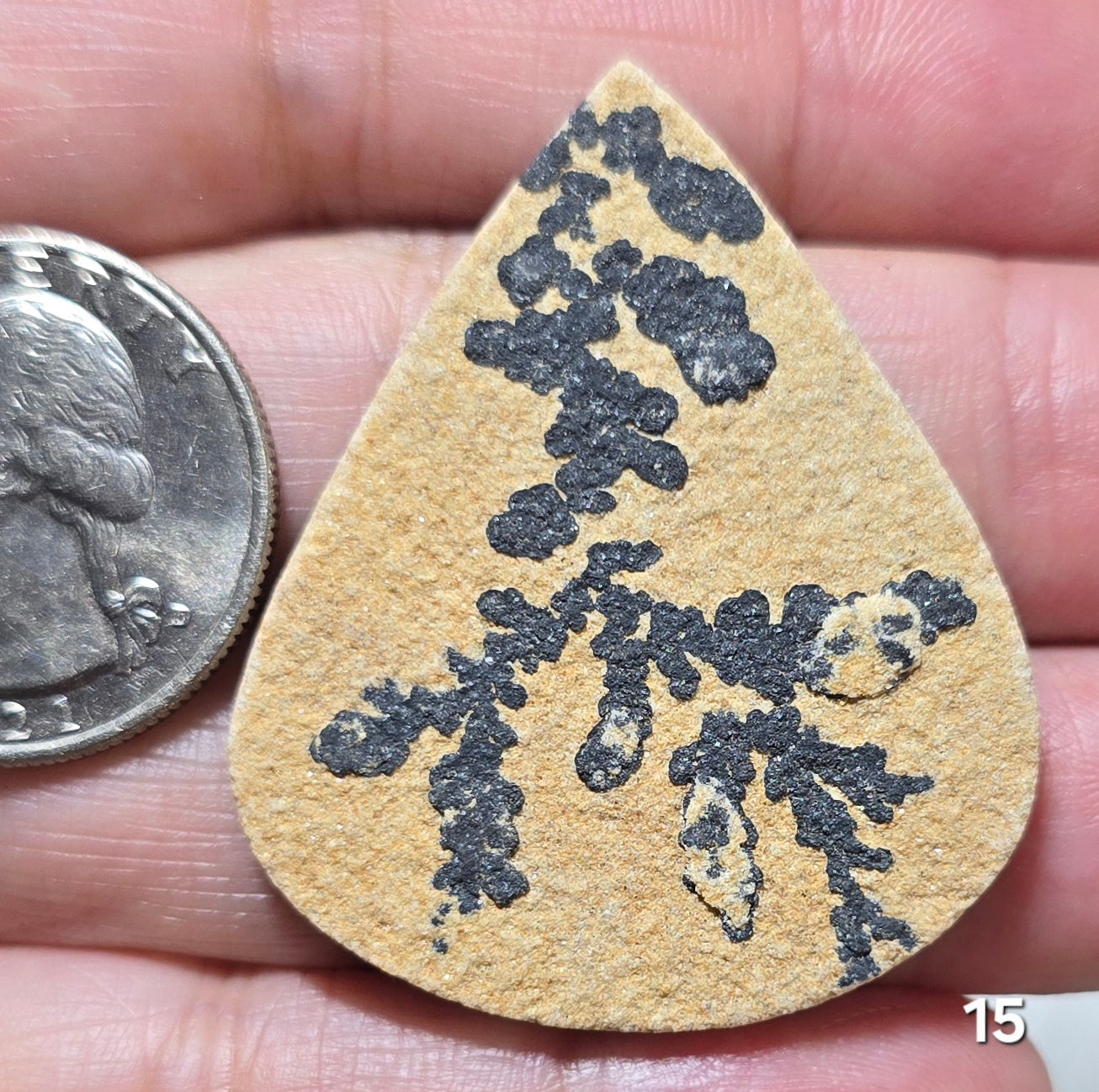 #15 Psilomelane Dendrite
