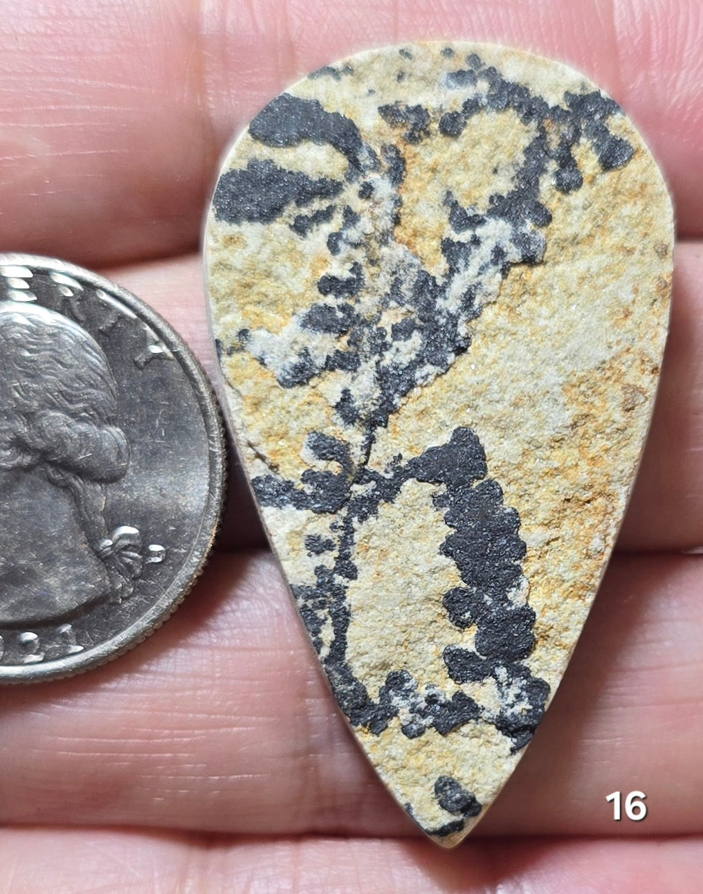 #16 Psilomelane Dendrite