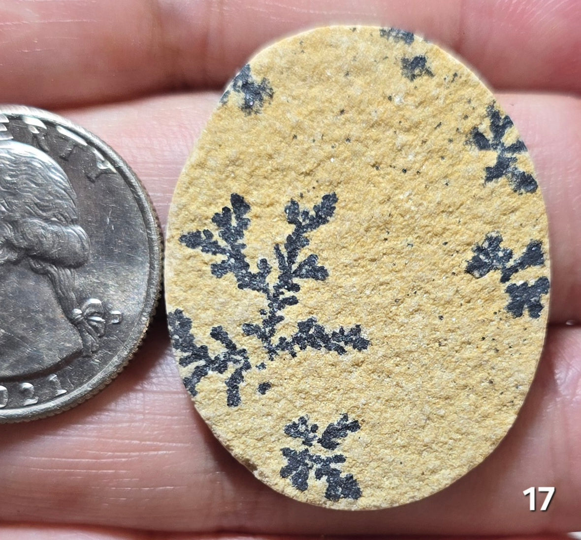 #17 Psilomelane Dendrite