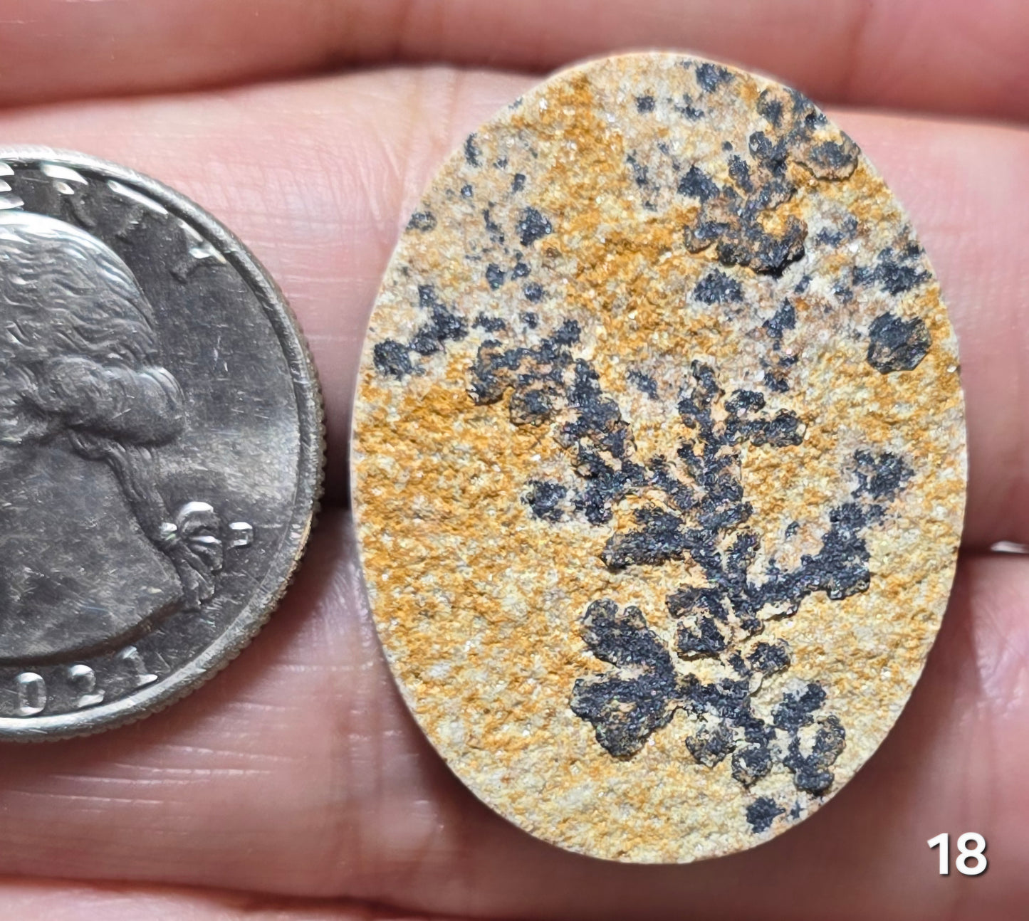 #18 Psilomelane Dendrite