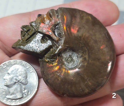 #2 Carved Iridescent Ammonite Skull Display Specimen