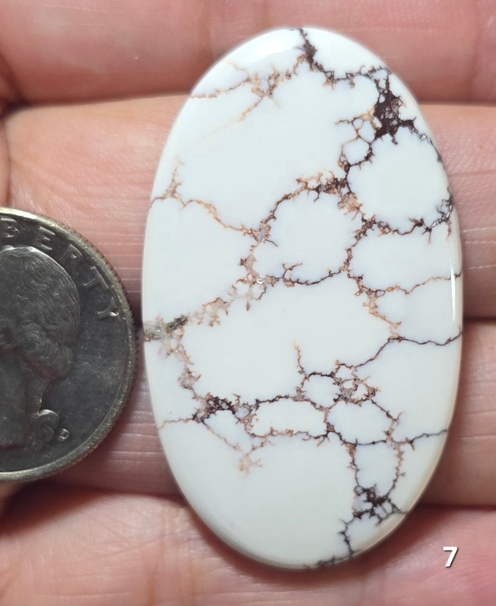 #7 Wild Horse Cabochon
