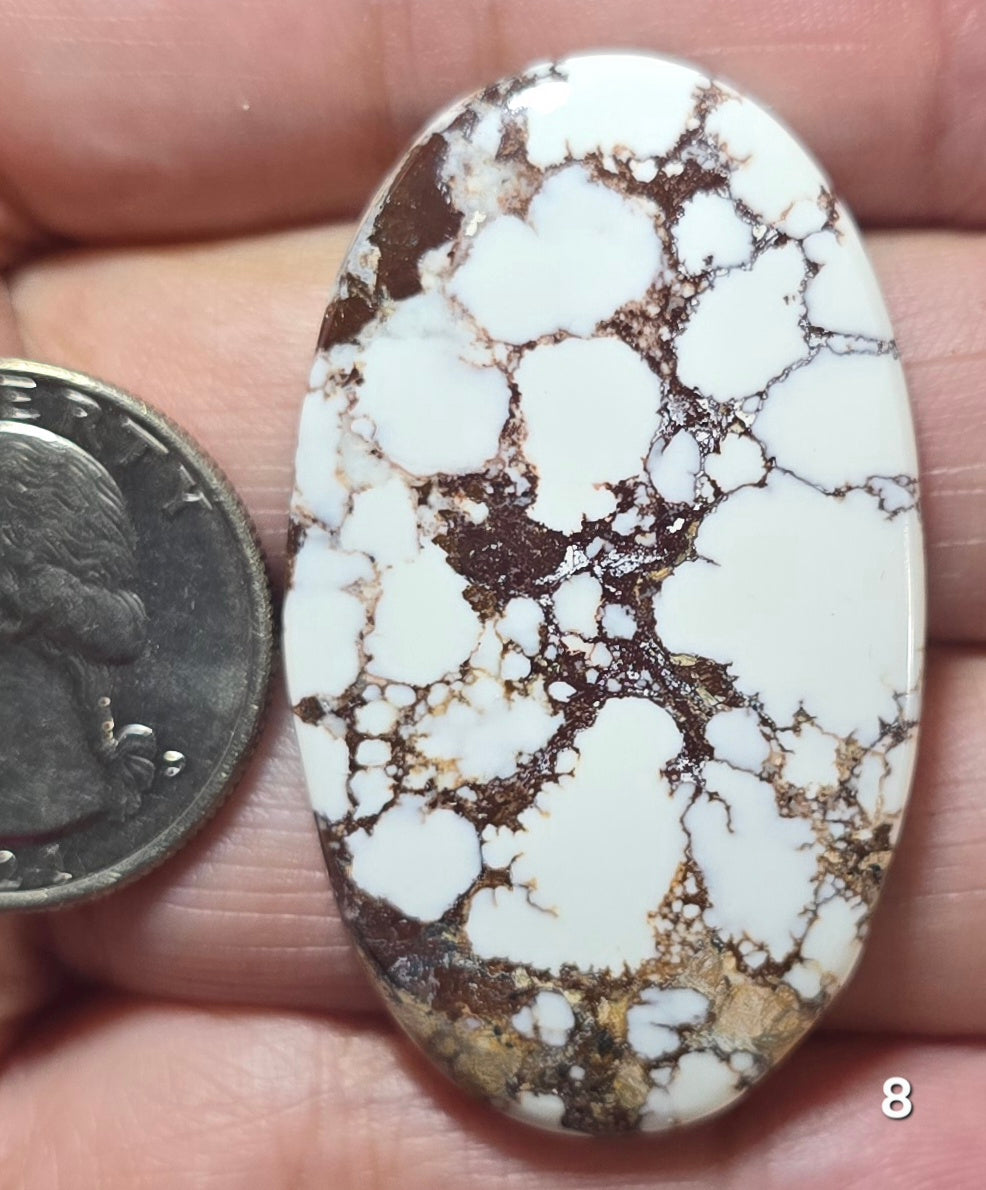 #8 Wild Horse Cabochon
