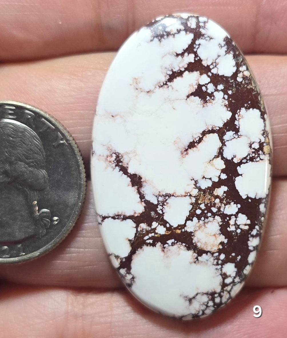 #9 Wild Horse Cabochon