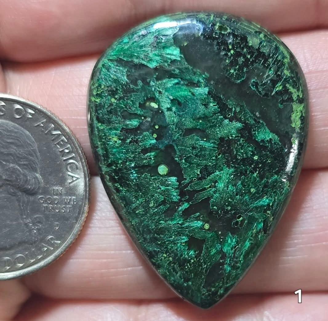 #1 Velvet Malachite