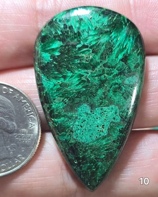 #10 Velvet Malachite