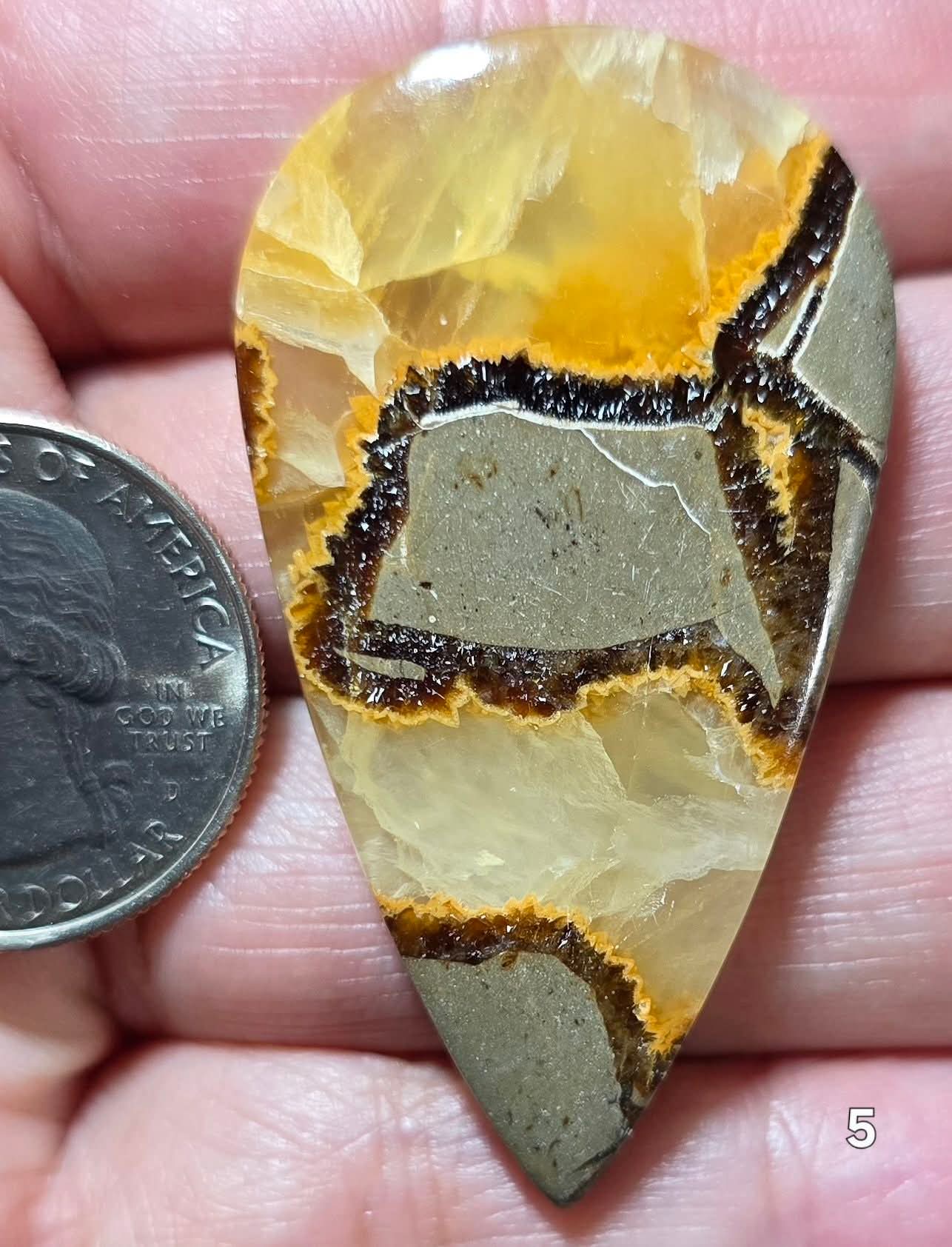 #5 Yellow Septarian