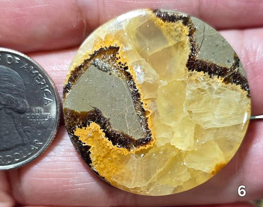 #6 Yellow Septarian