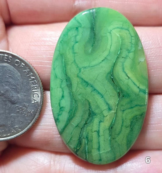 #6 African Paradise Jade