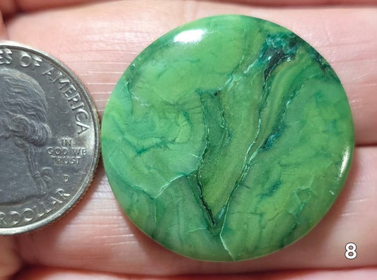 #8 African Paradise Jade