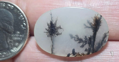 #1 Dendritic Quartz